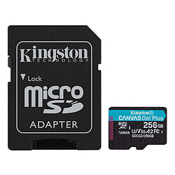 Kingston Canvas Go! Plus SDCG3/256GB